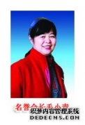 顾问,协会,